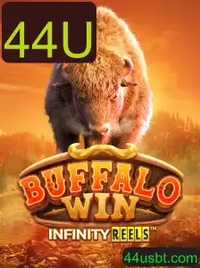 Explorando o Universo Empolgante de BuffaloWin e a Interessante Palavra-Chave 44U
